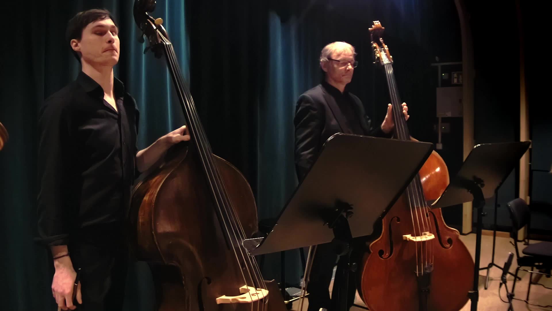 Miniaturansicht - Kontrabass