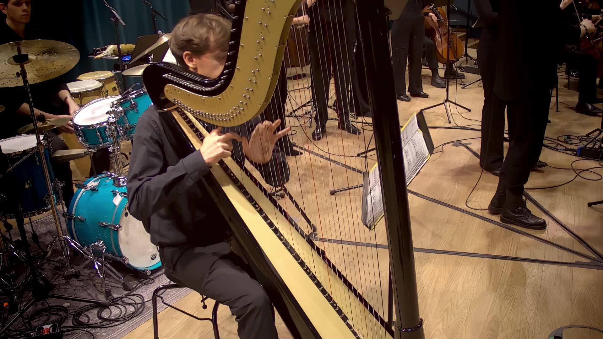 Miniaturansicht - Harfe