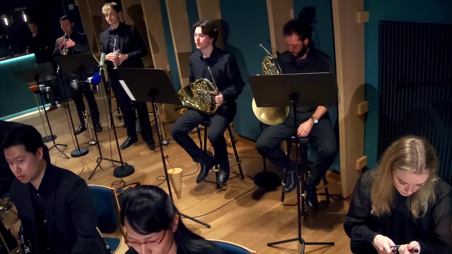 Miniaturansicht - Horn