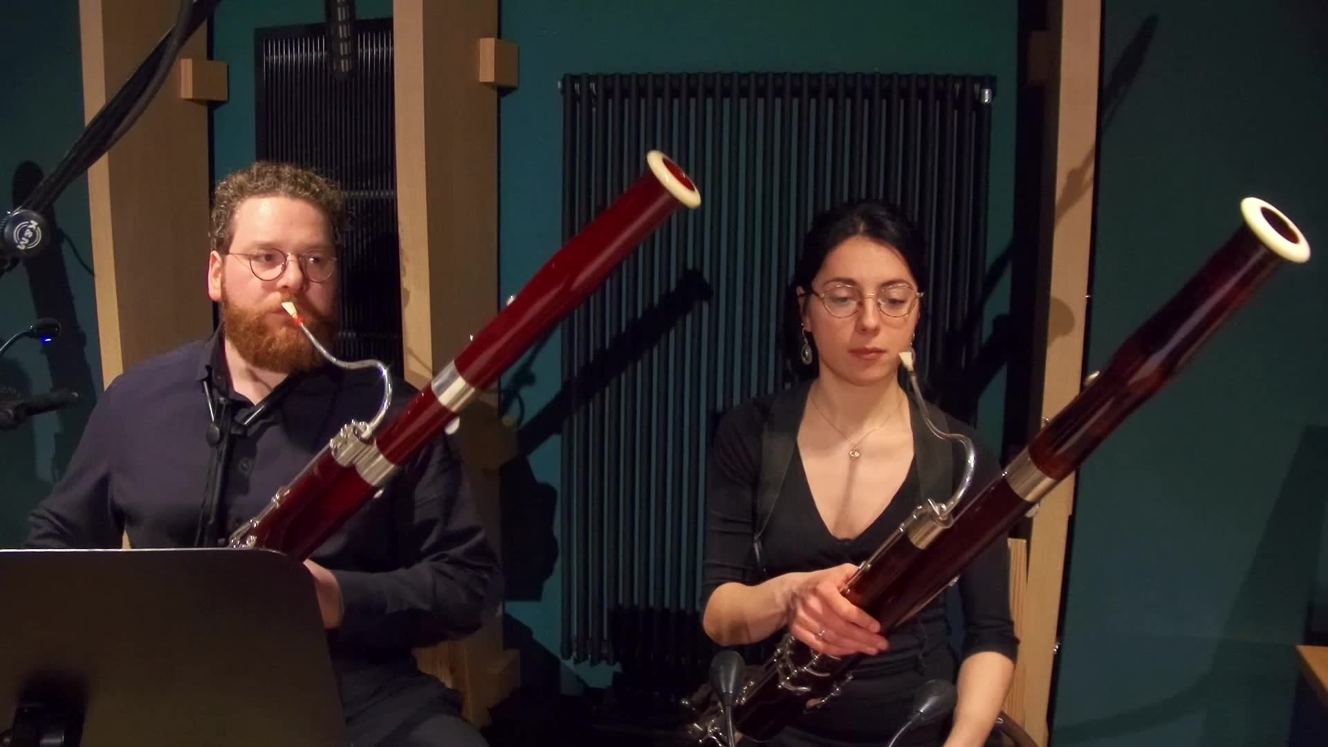 Miniaturansicht - Fagott