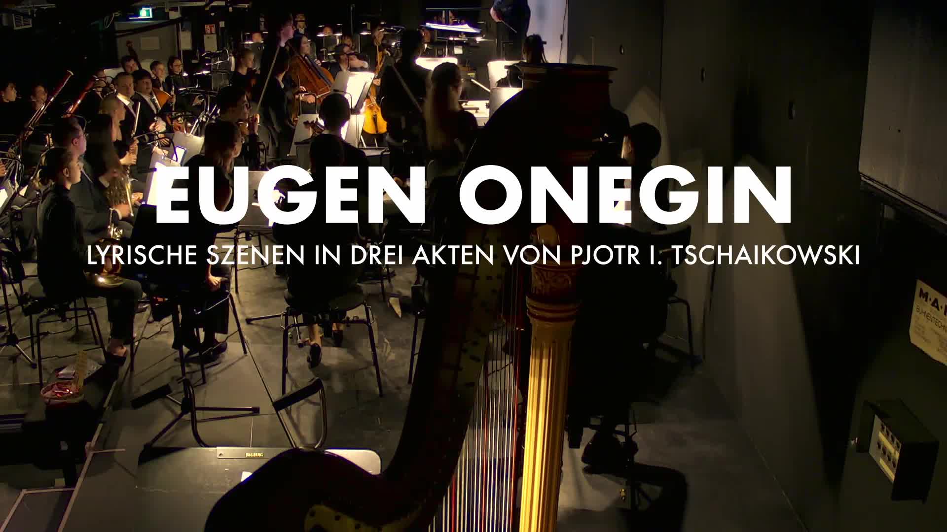 Miniaturansicht - Perspektive: Orchester 4